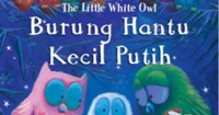 Image of Burung Hantu Kecil Putih